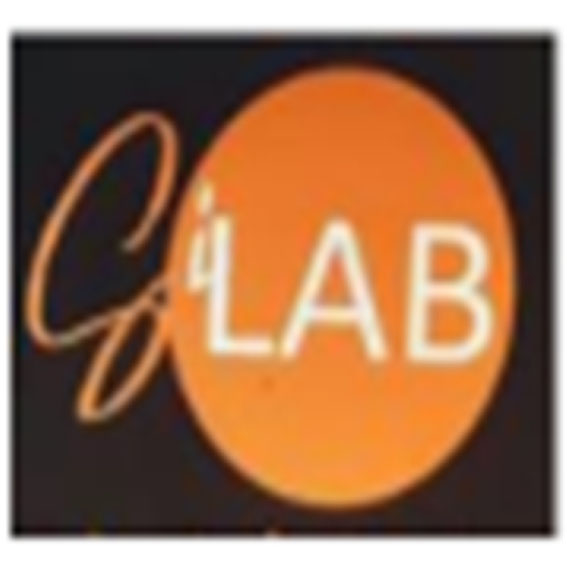 Sciences de l'Information (SILAB)