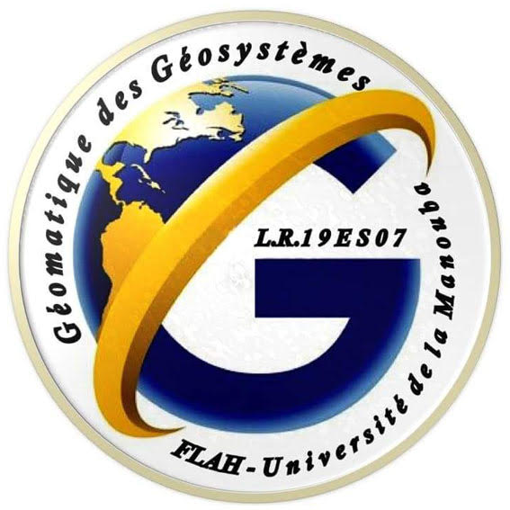 Géomatique des géosystèmes (GG)