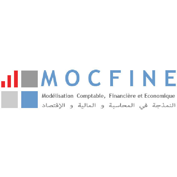 Modélisation Comptable, financière et économique (MOCFINE)